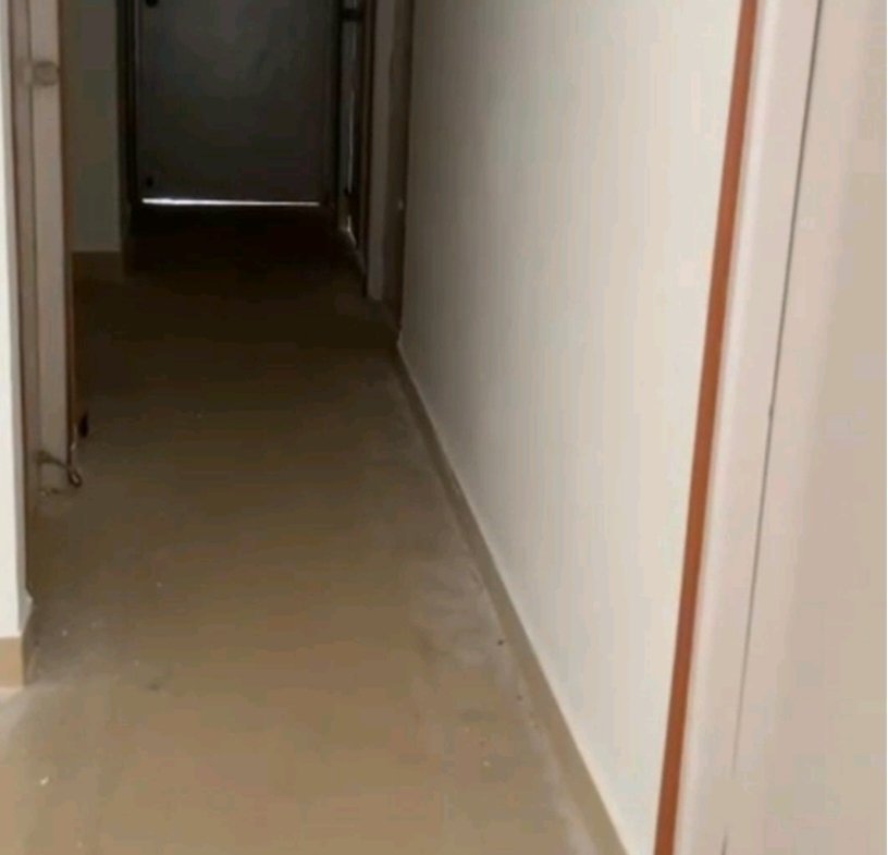 Shrachi Green