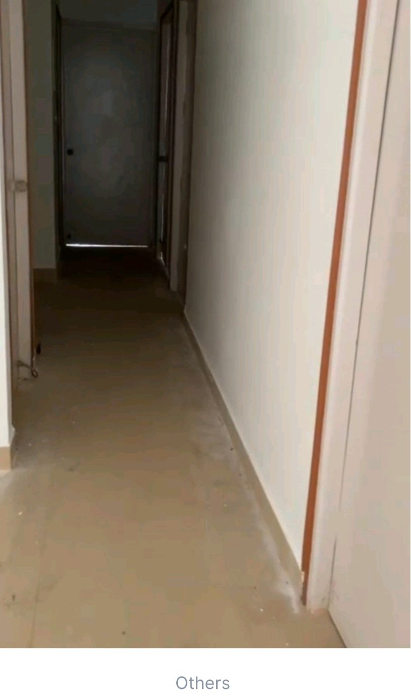 Shrachi Green