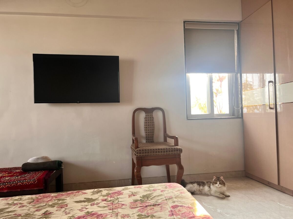 1000490800 Neelsiddi vista