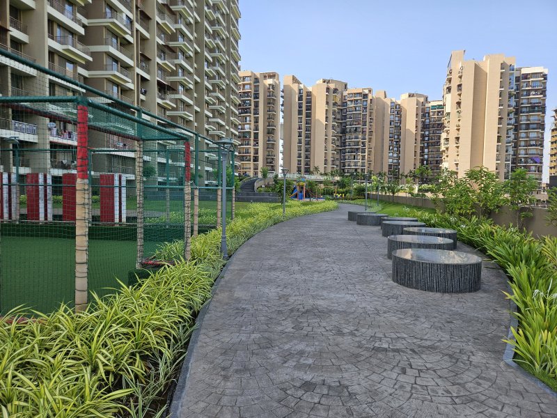 Prajapati Magnum