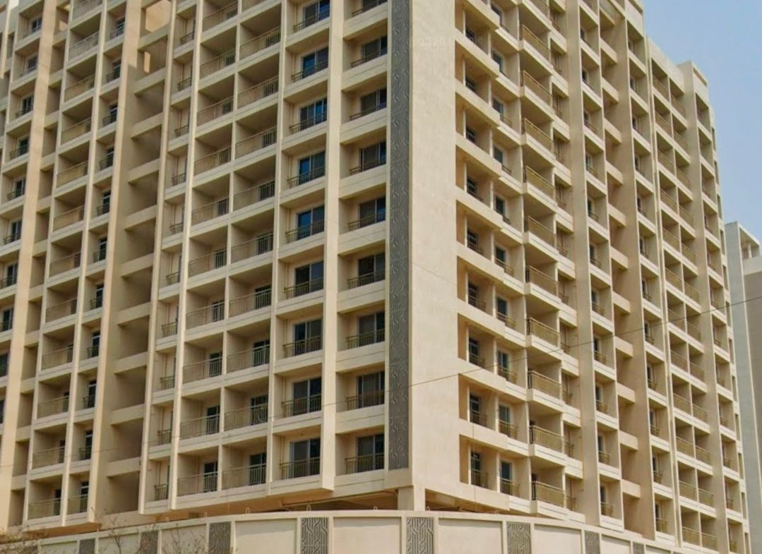 Royal Palm