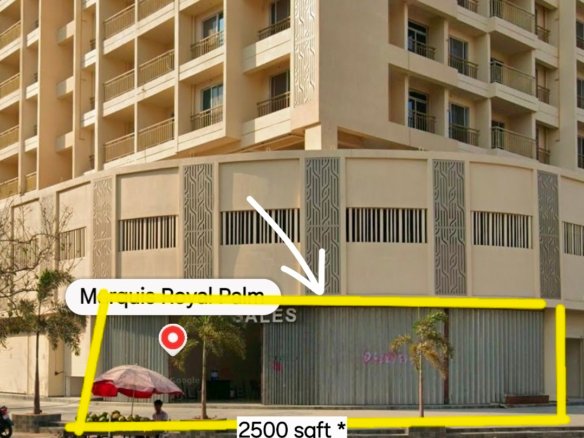 Royal Palm