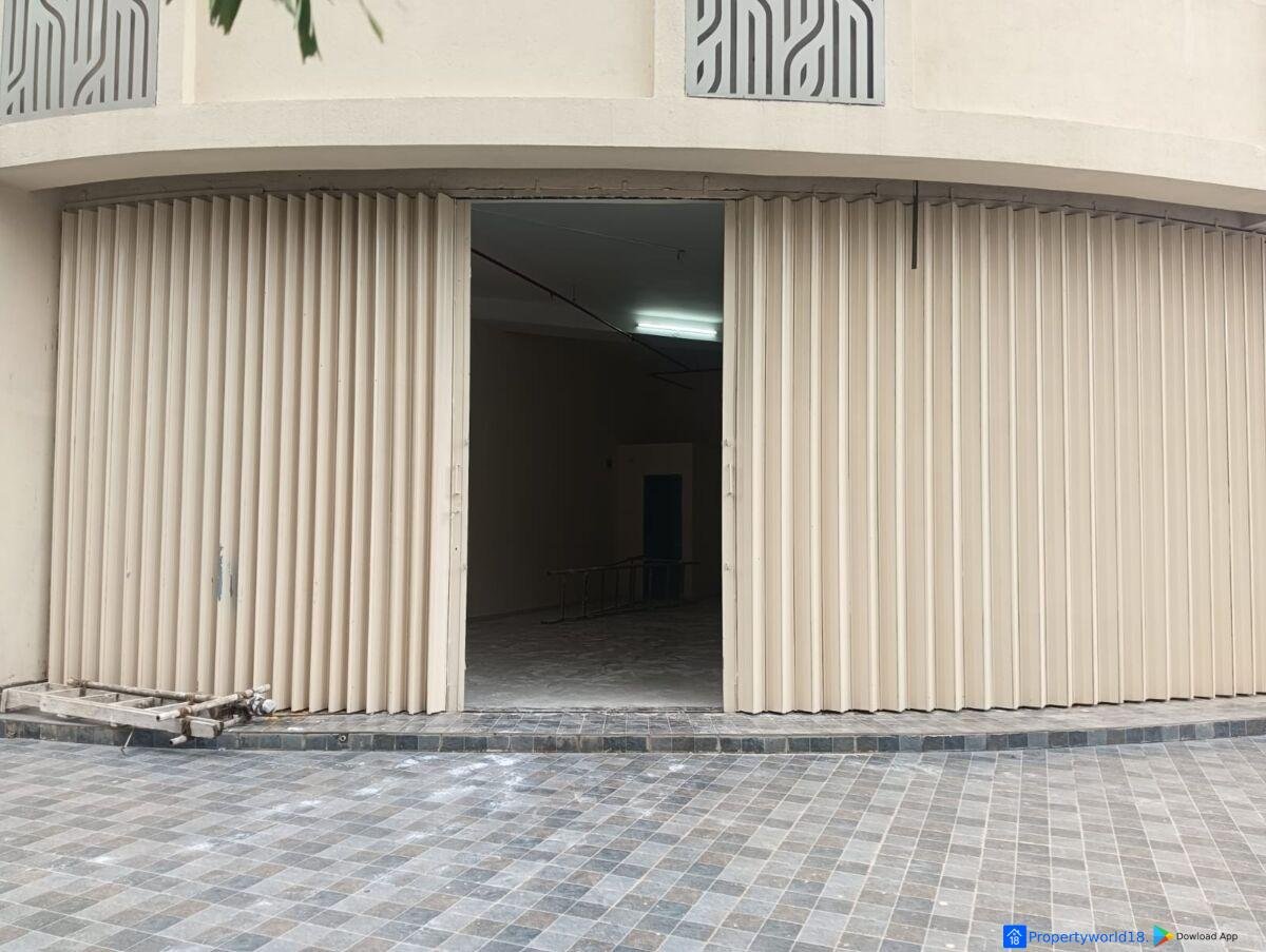 Royal Palm